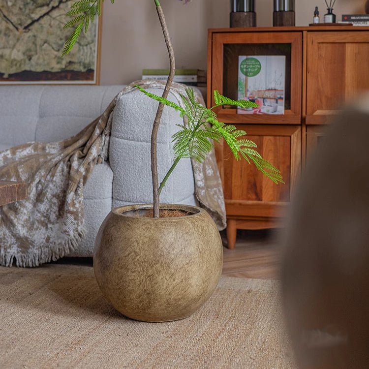 Round brown magnesium clay planter by RusticReach with a fern indoors in a living room on Tampa Home & Garden Store