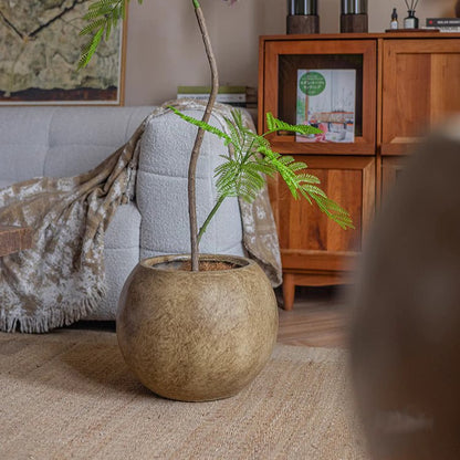 Round brown magnesium clay planter by RusticReach with a fern indoors in a living room on Tampa Home & Garden Store