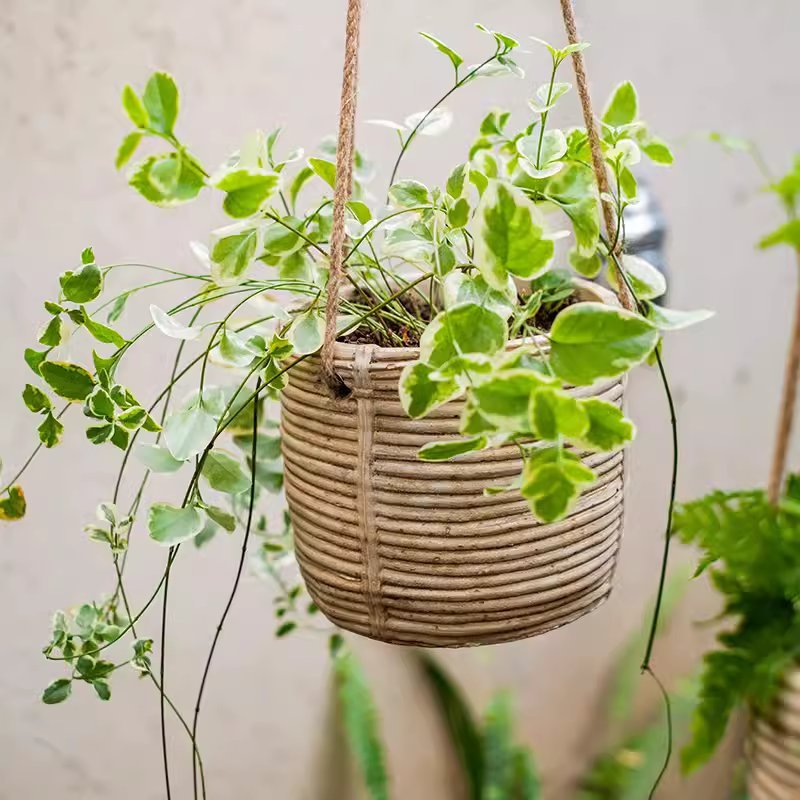 RusticReach faux rattan cement hanging planter with variegated green leaves on Tampa Home & Garden Store