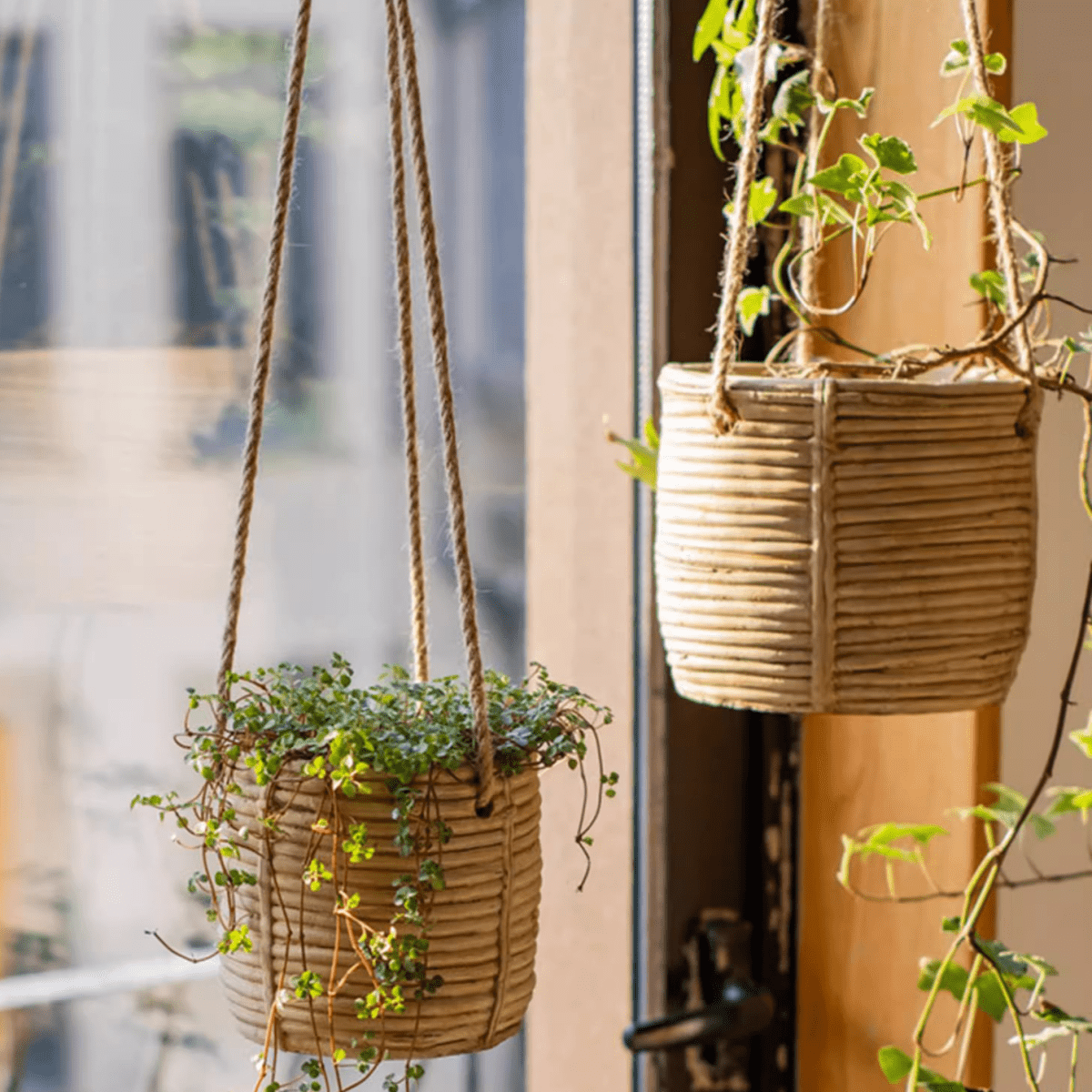 Faux Rattan Cement Hanging Planter by RusticReach, natural beige woven pots on rope hangers, pair on Tampa Home & Garden Store