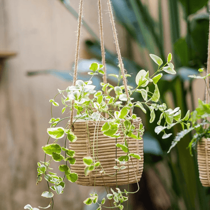 Faux Rattan Cement Hanging Planter by RusticReach, natural tan with jute cords, pair on Tampa Home & Garden Store