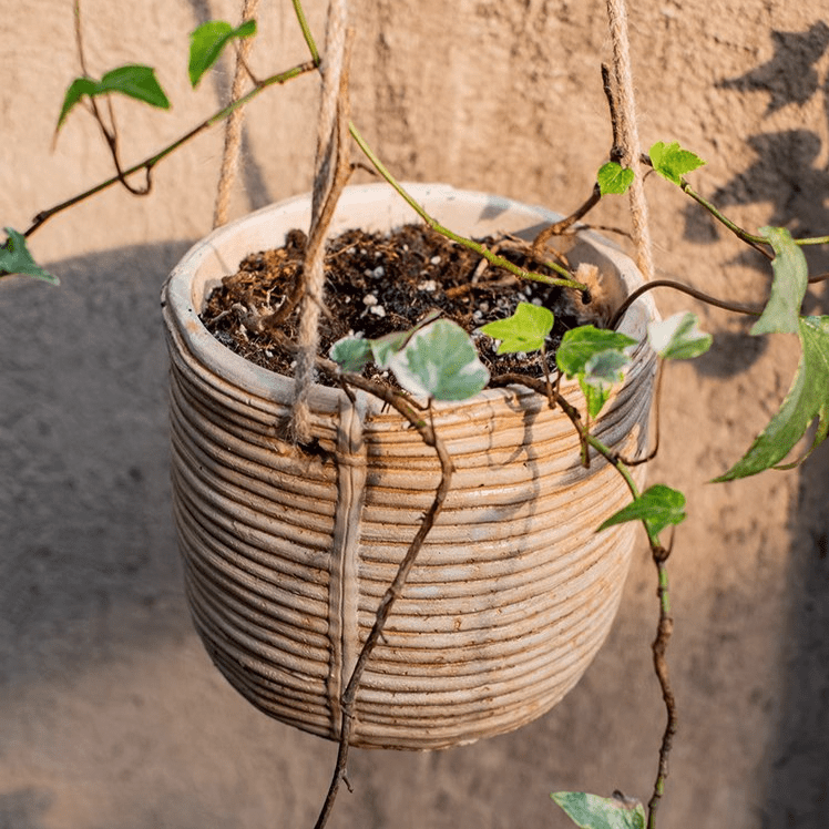 Faux Rattan Cement Hanging Planter beige by RusticReach with jute hangers on Tampa Home & Garden Store