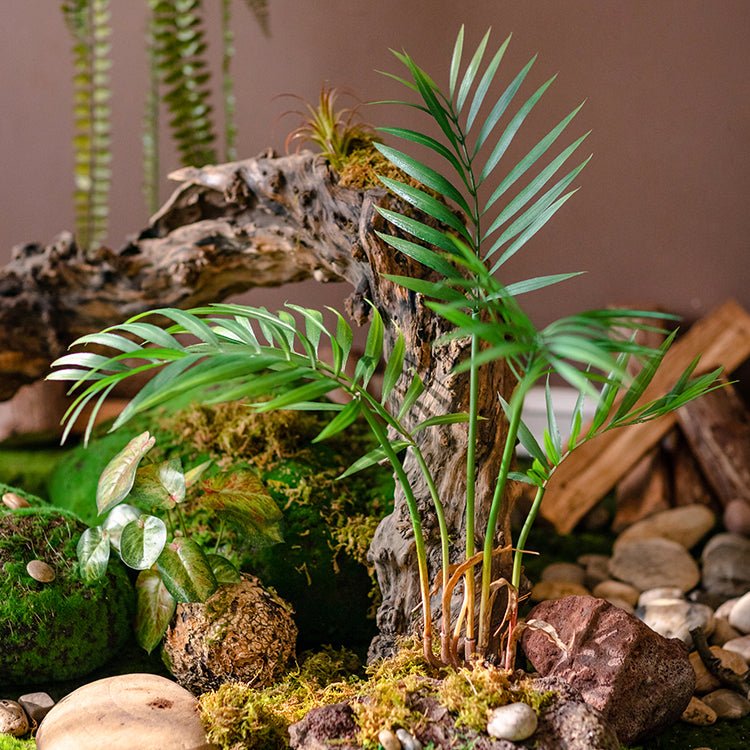 Faux rooted Murdannia leaf bunch, 23in tall, green palm fronds in moss terrarium RusticReach on Tampa Home & Garden Store