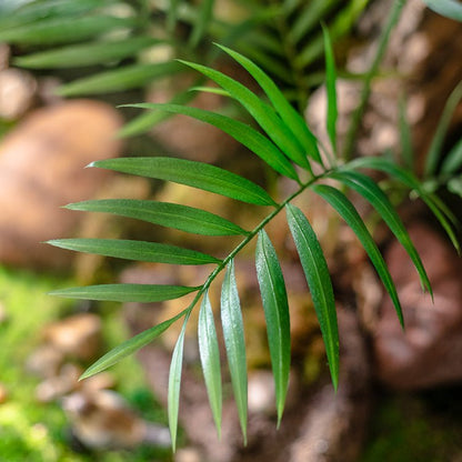 Faux Murdannia leaf bunch, rooted artificial plant, 23 inches tall, green slender leaflets on Tampa Home & Garden Store