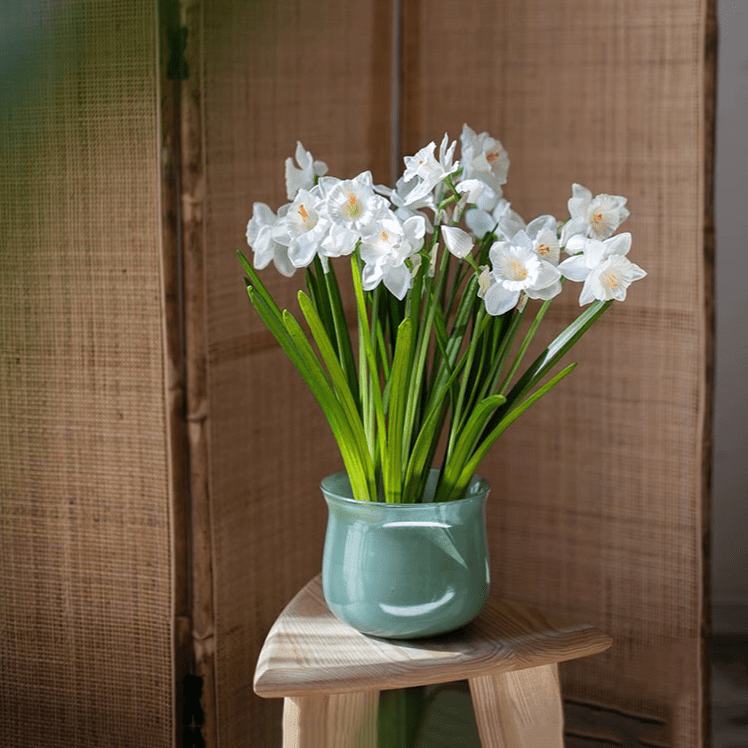 Ruhai low vase with white narcissus and green stems in a teal vase on a wooden stool on Tampa Home & Garden Store