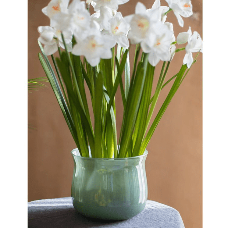 Ruhai Low Glass Vase in pale teal glaze by RusticReach with white daffodils on Tampa Home & Garden Store