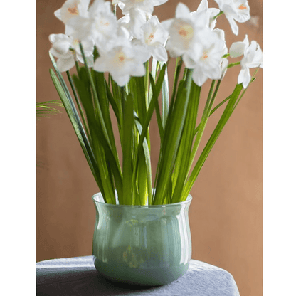 Ruhai Low Glass Vase in pale teal glaze by RusticReach with white daffodils on Tampa Home & Garden Store