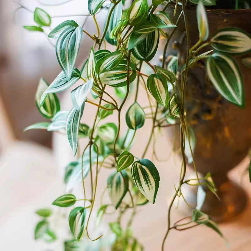 Artificial small leaf vine 40 inch long in variegated green with trailing stems RusticReach on Tampa Home & Garden Store