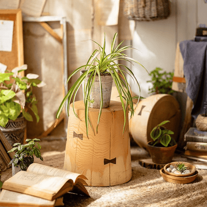 Solid Wood Natural End Table RusticReach with a stump-style base and a potted plant on top on Tampa Home & Garden Store
