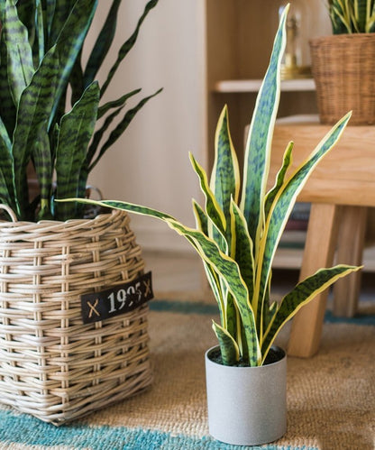 Faux snake plant in gray pot with yellow-edged variegated leaves by RusticReach on Tampa Home & Garden Store