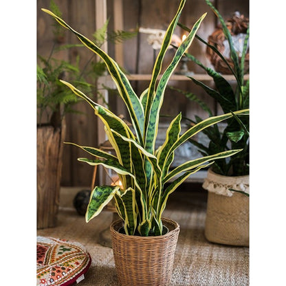 Faux snake plant in wicker pot with yellow-edged leaves RusticReach on Tampa Home & Garden Store