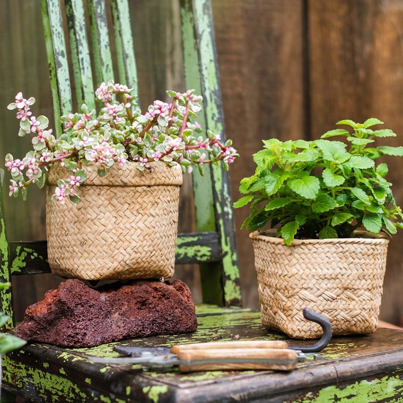 Straw basket style concrete planter pair with pink flowering plant and mint, RusticReach on Tampa Home & Garden Store