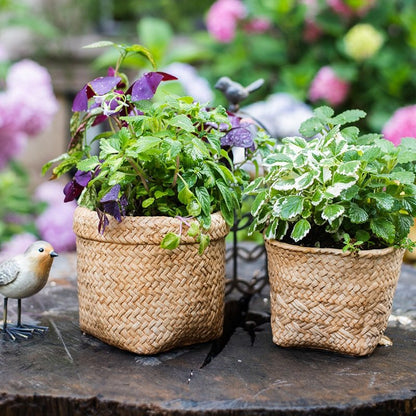 RusticReach Straw Basket Style Concrete Planter set of 2 with woven texture and green foliage on Tampa Home & Garden Store