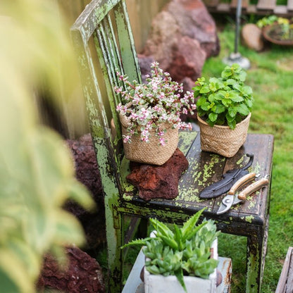 RusticReach straw basket concrete planters on a weathered green chair with pink flowers on Tampa Home & Garden Store