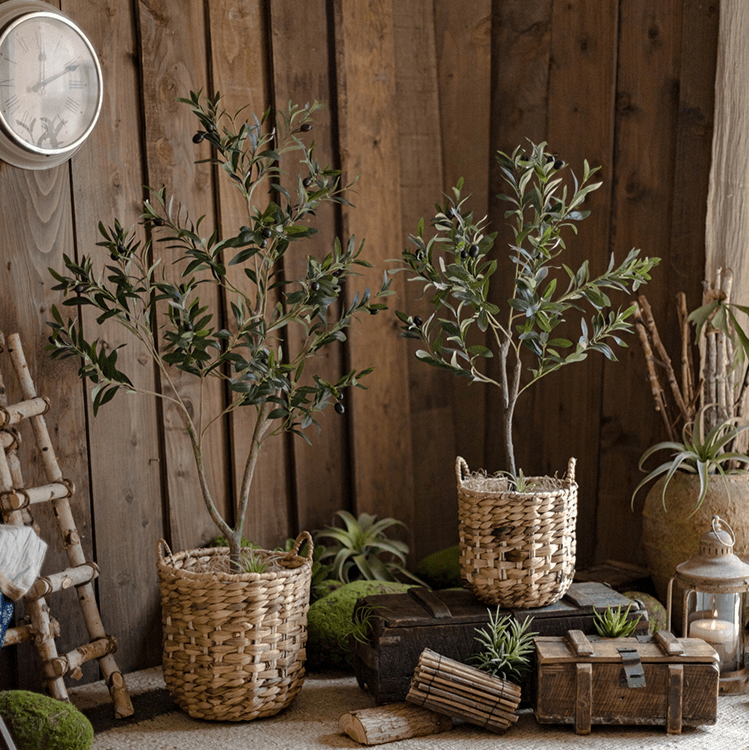 Natural Straw Round Basket with Handles, two woven plant baskets for rustic decor on Tampa Home & Garden Store