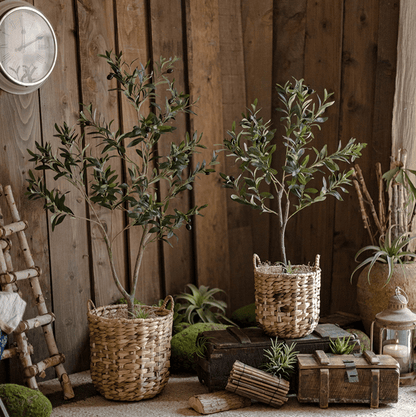 Natural Straw Round Basket with Handles, two woven plant baskets for rustic decor on Tampa Home & Garden Store