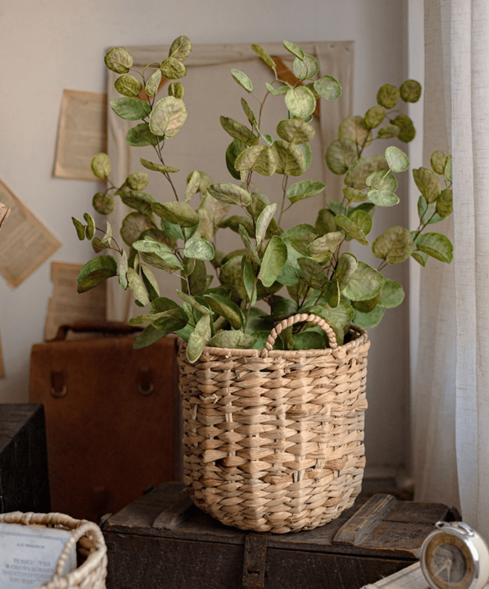 Natural Straw Round Basket with Handles holds a lush green leafy plant on a rustic wooden surface on Tampa Home & Garden Store