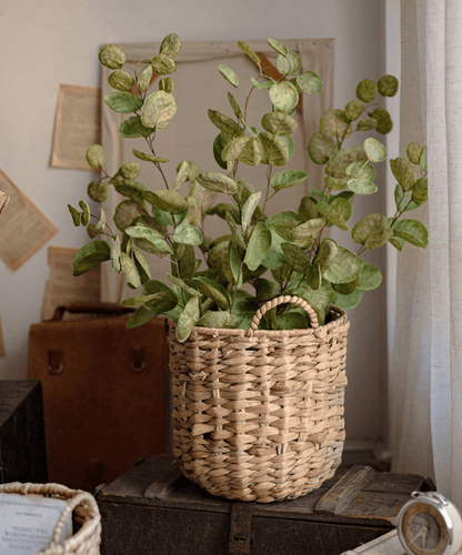 Natural Straw Round Basket with Handles holds a lush green leafy plant on a rustic wooden surface on Tampa Home & Garden Store