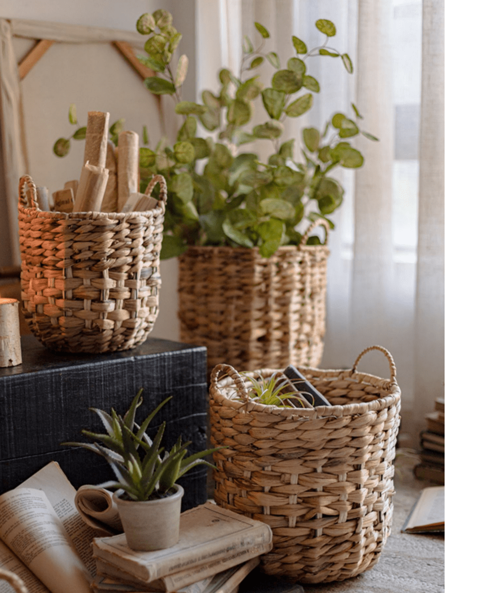 Natural straw round baskets with handles set of 3 in a cozy woven scene with plants on Tampa Home & Garden Store