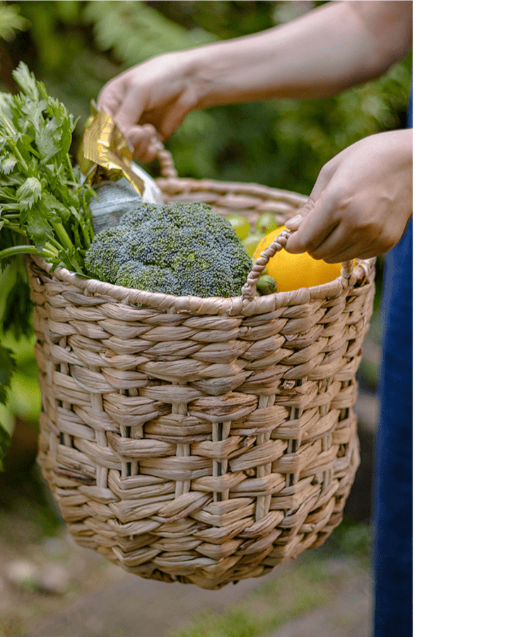 Natural Straw Round Basket with Handles, RusticReach woven basket holding broccoli and greens on Tampa Home & Garden Store