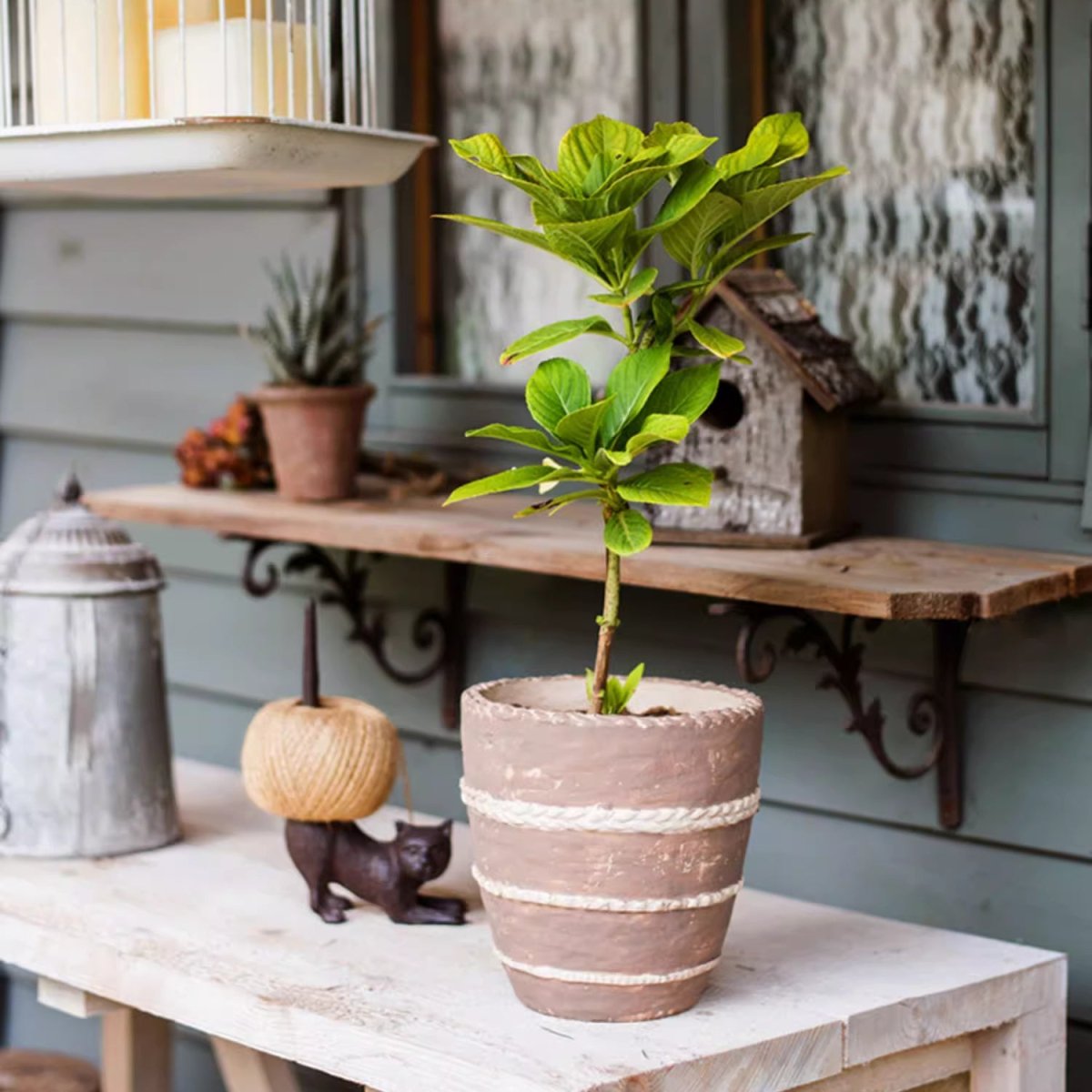 Tasha Red Terracotta Planter by RusticReach, red planter with white rope bands on Tampa Home & Garden Store