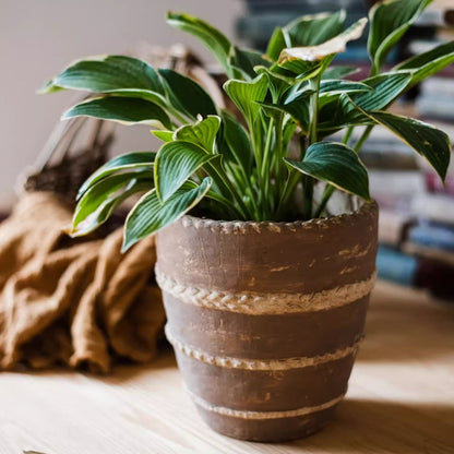 Tasha Red Terracotta Planter with rope-wrapped bands and green leaves on Tampa Home & Garden Store