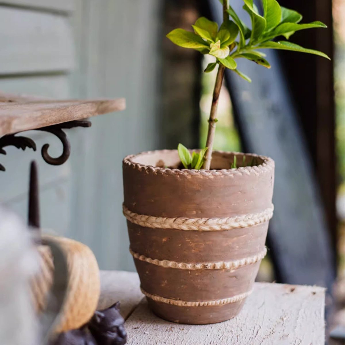 Tasha Red Terracotta Planter by RusticReach with rope trim and a plant on a weathered surface on Tampa Home & Garden Store