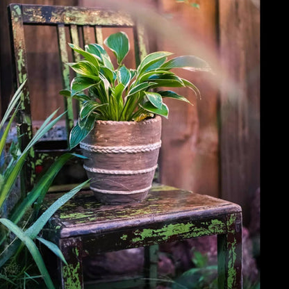 Tasha Red Terracotta Planter by RusticReach with rope bands and green plant on chair on Tampa Home & Garden Store