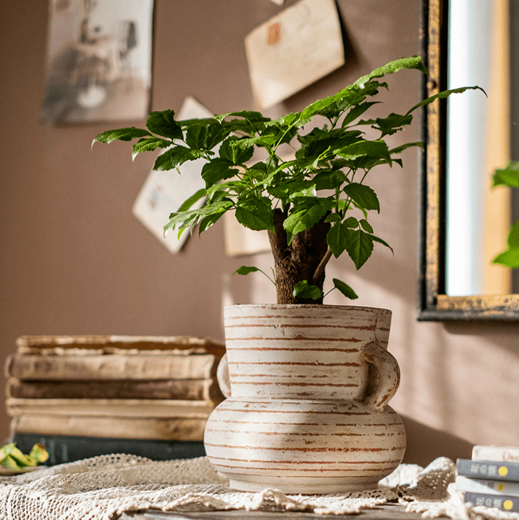 RusticReach Terracotta Planter Vase with Handles, brown stripes, leafy plant on Tampa Home & Garden Store