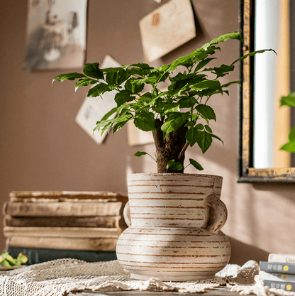 RusticReach Terracotta Planter Vase with Handles, brown stripes, leafy plant on Tampa Home & Garden Store