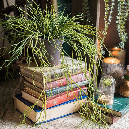 Artificial Faux Usnea Vine Stem 22 in by RusticReach with green trailing vines atop books on Tampa Home & Garden Store