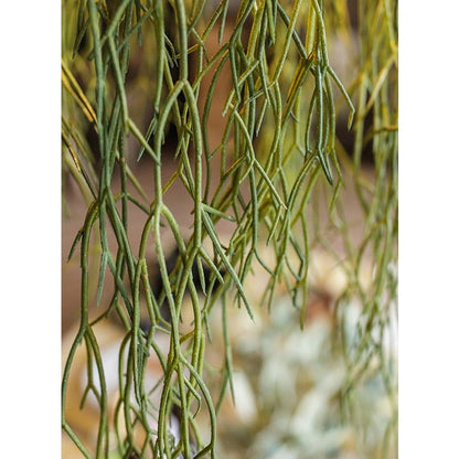 Artificial Faux Usnea Vine Stem 22in long, green hanging non-flowering plant by RusticReach on Tampa Home & Garden Store
