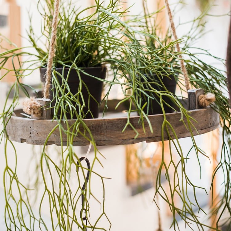 Artificial Faux Usnea Vine Stem 22in long green in hanging wooden planter RusticReach on Tampa Home & Garden Store