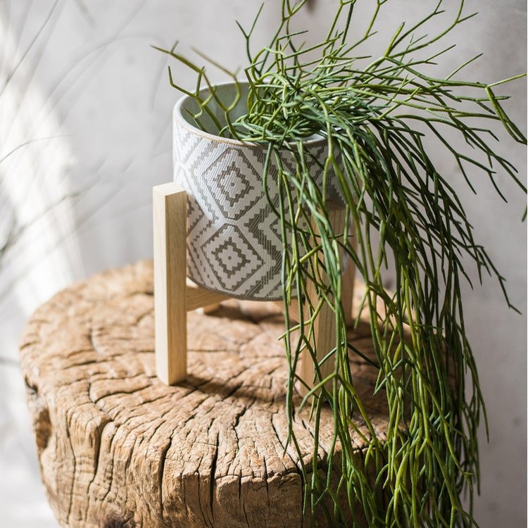 Artificial Faux Usnea Vine Stem 22in with green vines in a gray planter RusticReach on Tampa Home & Garden Store