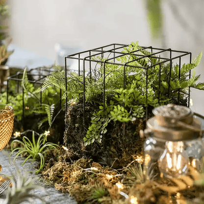 Woodland Cube Garden Accent lawn ornament in black metal frame with moss and ferns RusticReach on Tampa Home & Garden Store