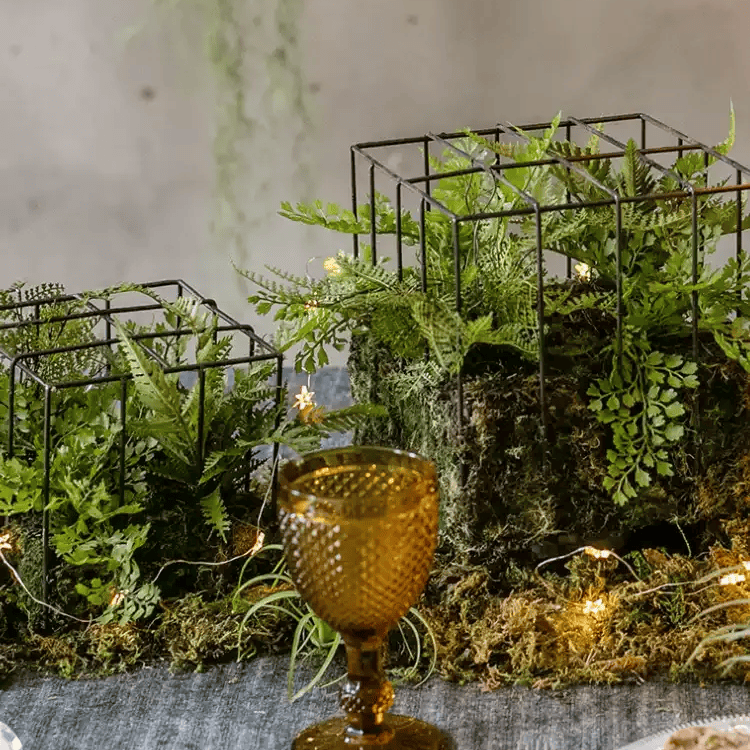 Woodland Cube Garden Accent by RusticReach; black metal cube planters with fern and goblet on Tampa Home & Garden Store