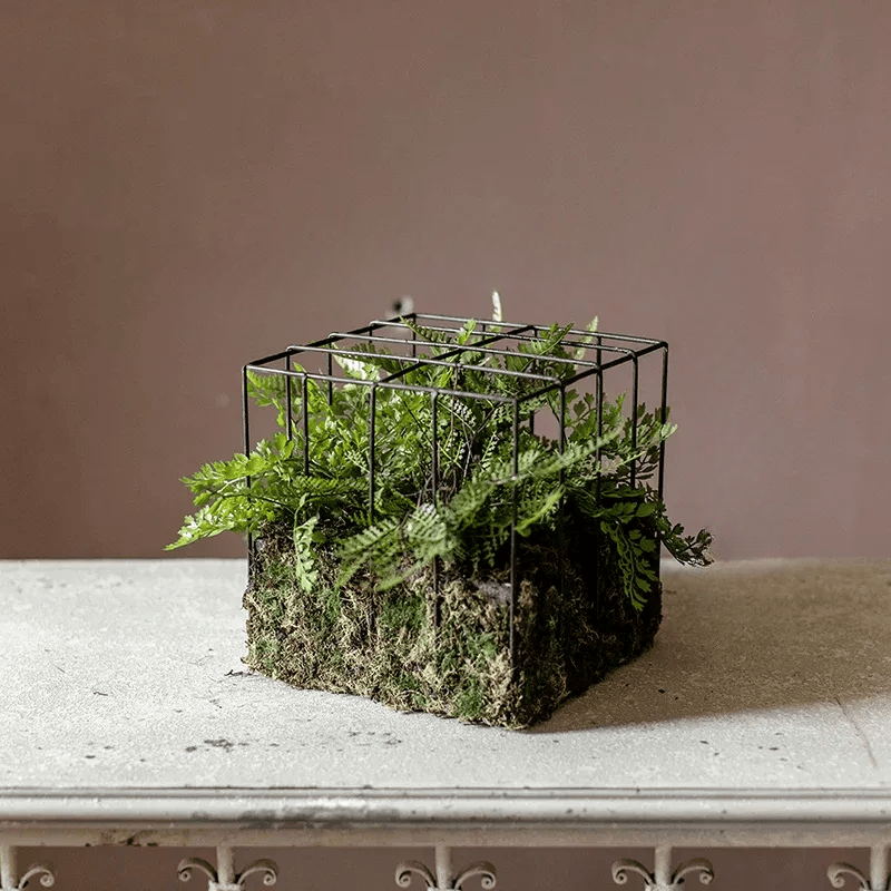 Woodland Cube Garden Accent RusticReach mossy cube base with black metal grid and ferns on Tampa Home & Garden Store
