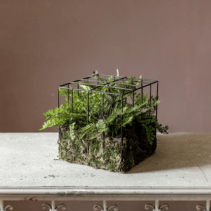 Woodland Cube Garden Accent RusticReach mossy cube base with black metal grid and ferns on Tampa Home & Garden Store