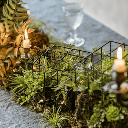 Woodland Cube Garden Accent by RusticReach; black metal cube lattice with ferns and moss on Tampa Home & Garden Store