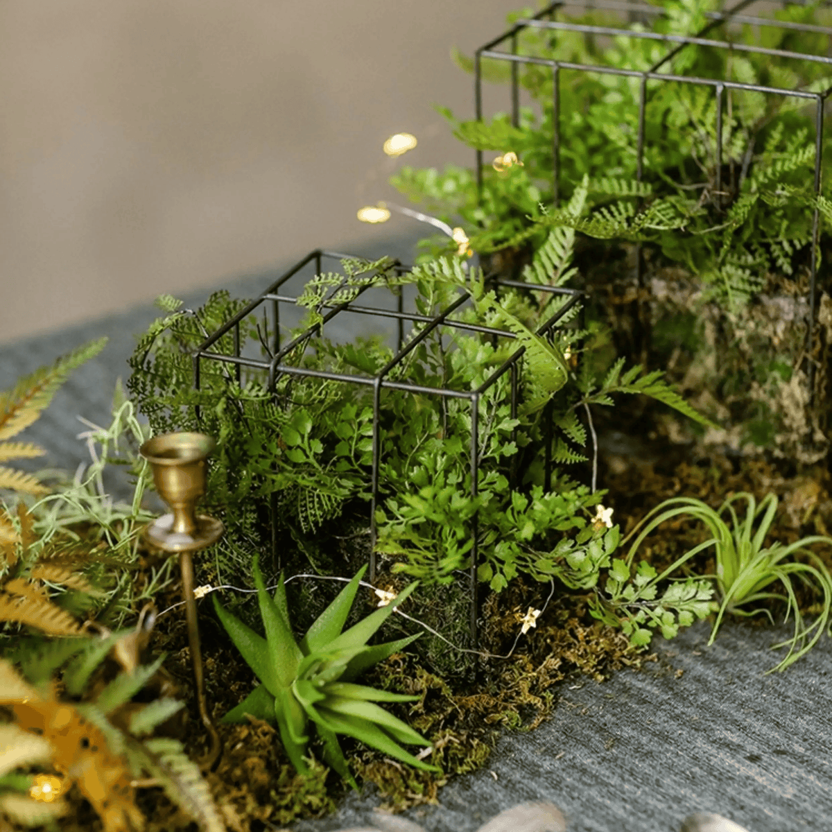 Woodland Cube Garden Accent two black metal lattice cubes with ferns RusticReach on Tampa Home & Garden Store