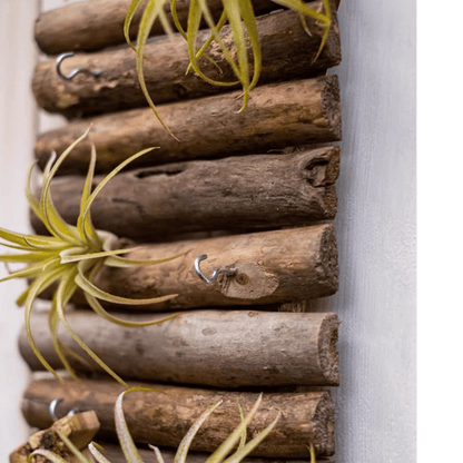 Rustic Wood Ladder Wall Décor Tool Organizer by RusticReach with metal hooks on Tampa Home & Garden Store