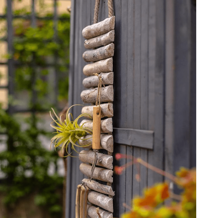 Rustic Wood Ladder Wall Décor Tool Organizer with rope hanger and air plant accent on Tampa Home & Garden Store