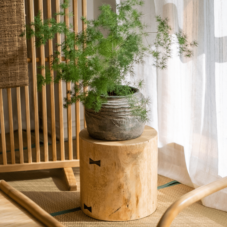 Pine wood pedestal side table with round top, natural grain, plant in ceramic pot on Tampa Home & Garden Store