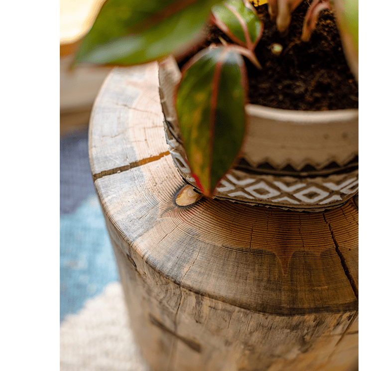Pine Wood Pedestal Side Table with natural finish by RusticReach, round stump base on Tampa Home & Garden Store