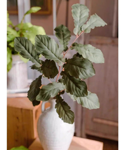 Wild Garden Greenery Stem 36in tall artificial non-flowering plant with green scalloped leaves on Tampa Home & Garden Store