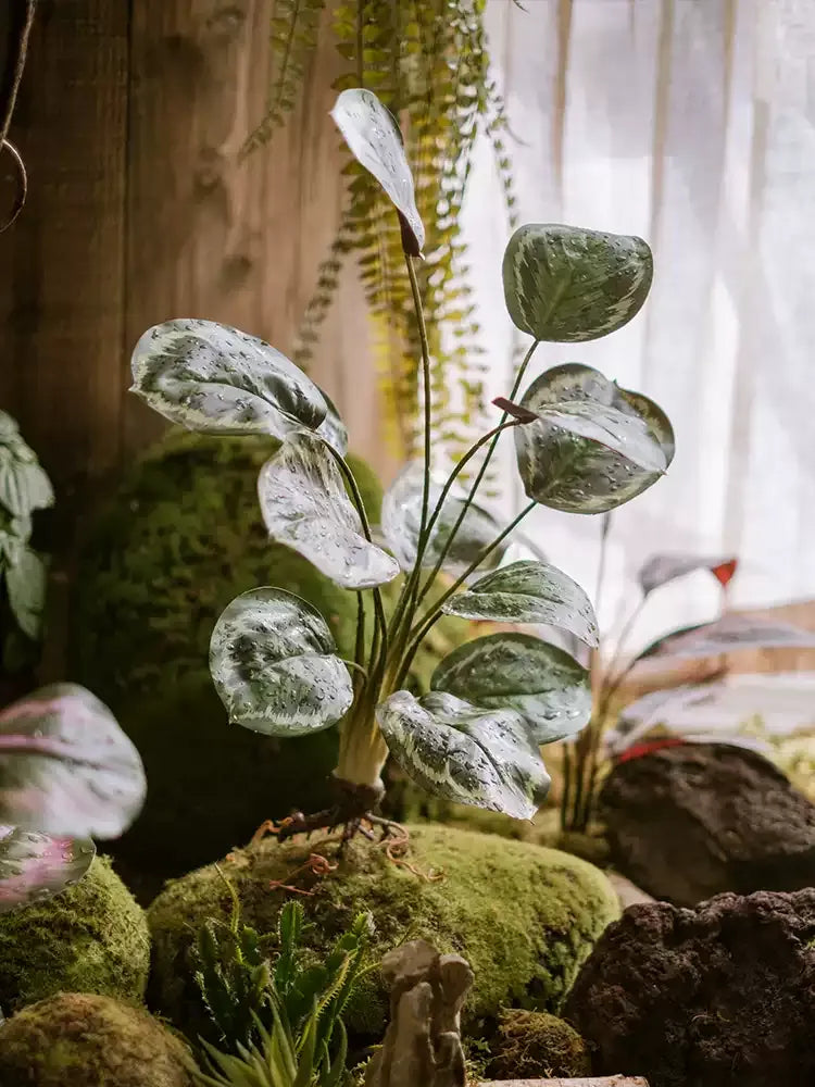 Wild Tropical Leaf Bunch RusticReach artificial variegated leaves on stems above moss on Tampa Home & Garden Store