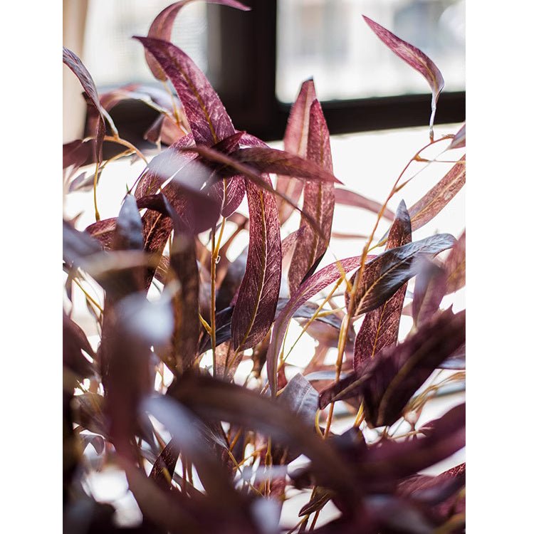 Whispers of Autumn Eucalyptus Stem 33in tall, burgundy artificial leaves RusticReach on Tampa Home & Garden Store