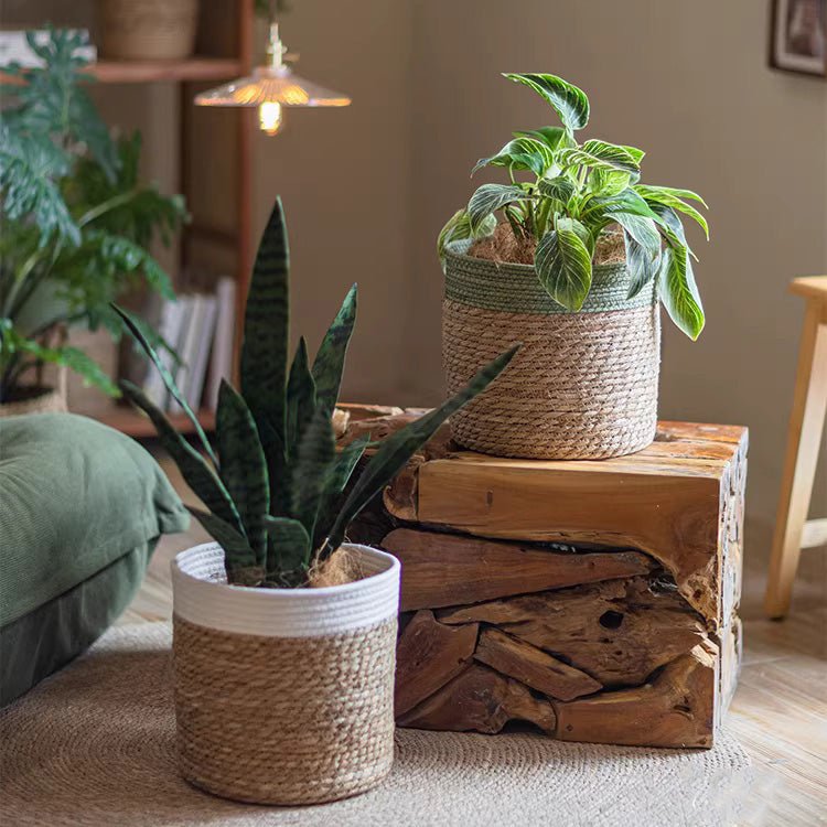 Woven baskets with colored rims by RusticReach; two jute plant baskets with plants on Tampa Home & Garden Store