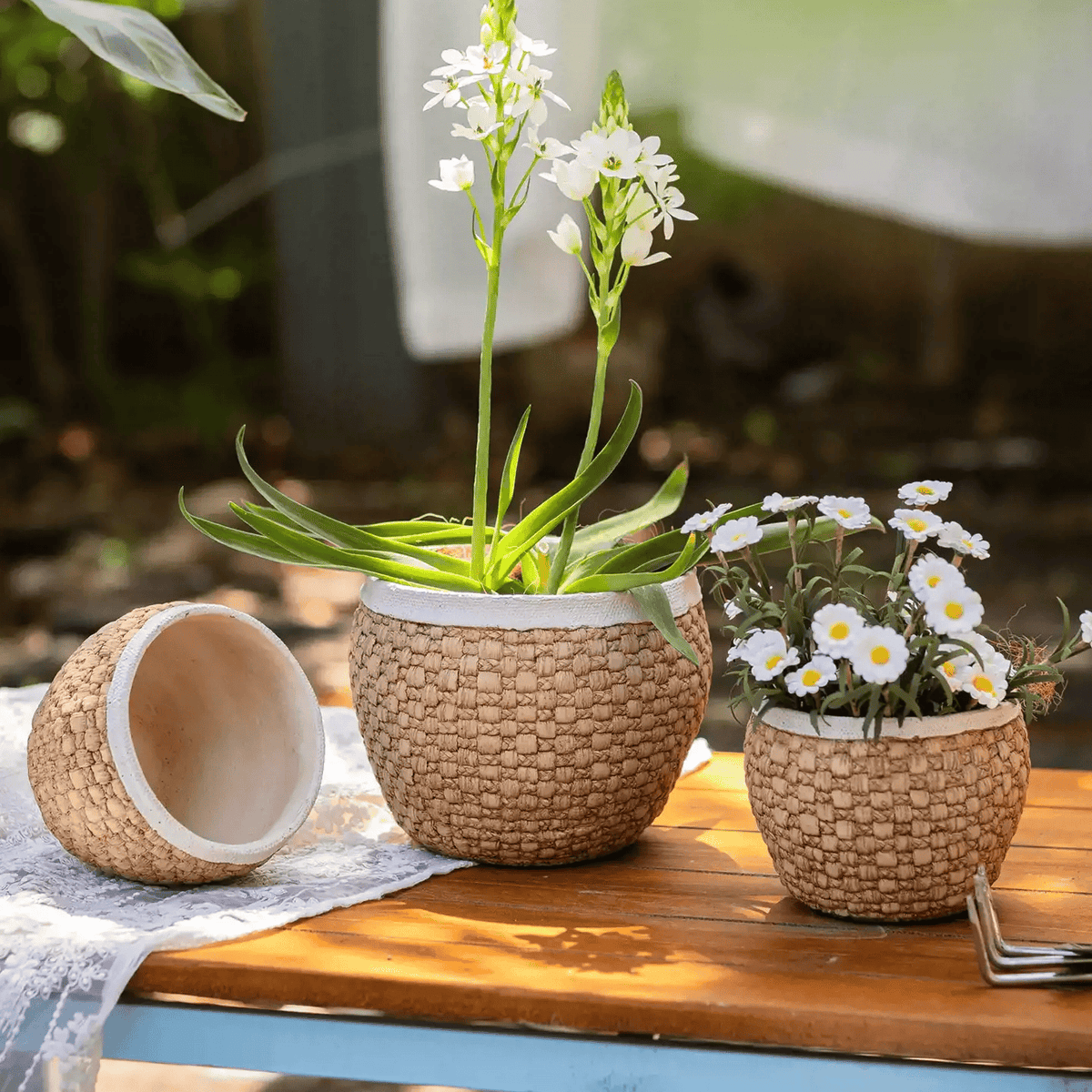 Woven Rattan Cement Planter set by RusticReach; three planters with white blooms on wood table on Tampa Home & Garden Store