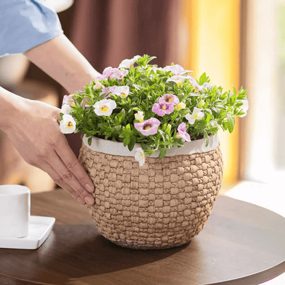Woven rattan planter filled with green foliage and pastel white-pink flowers on a wooden table on Tampa Home & Garden Store